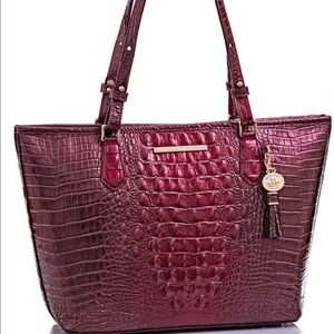 Brahmin infered med Asher